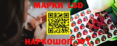 гидропоника Краснознаменск