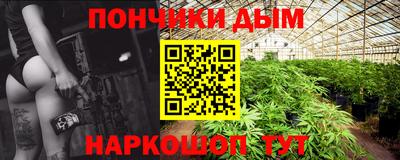 гидропоника Краснознаменск