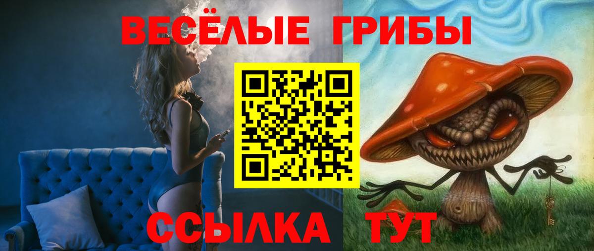 Галлюциногенные грибы мухоморы Кандалакша